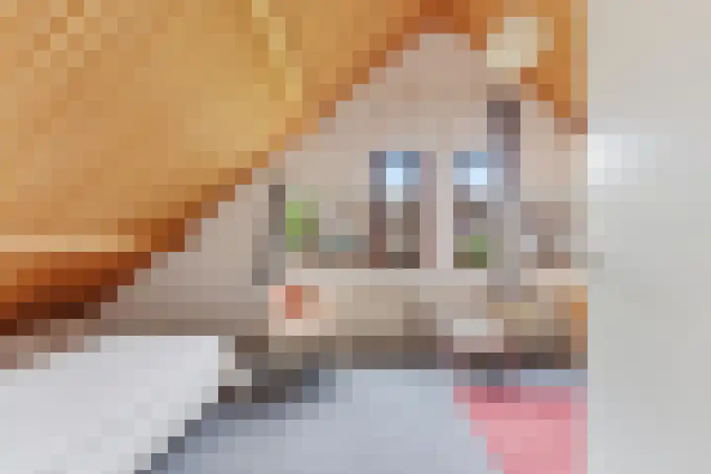 Vossestaart 14 Alblasserdam thumbnail 43