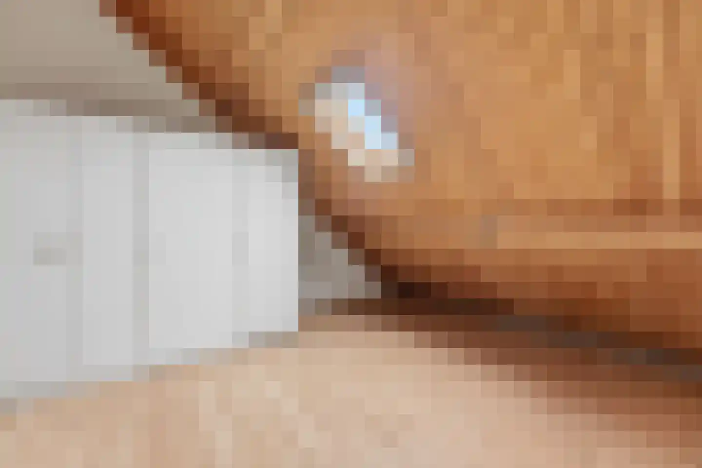 Vossestaart 14 Alblasserdam thumbnail 48
