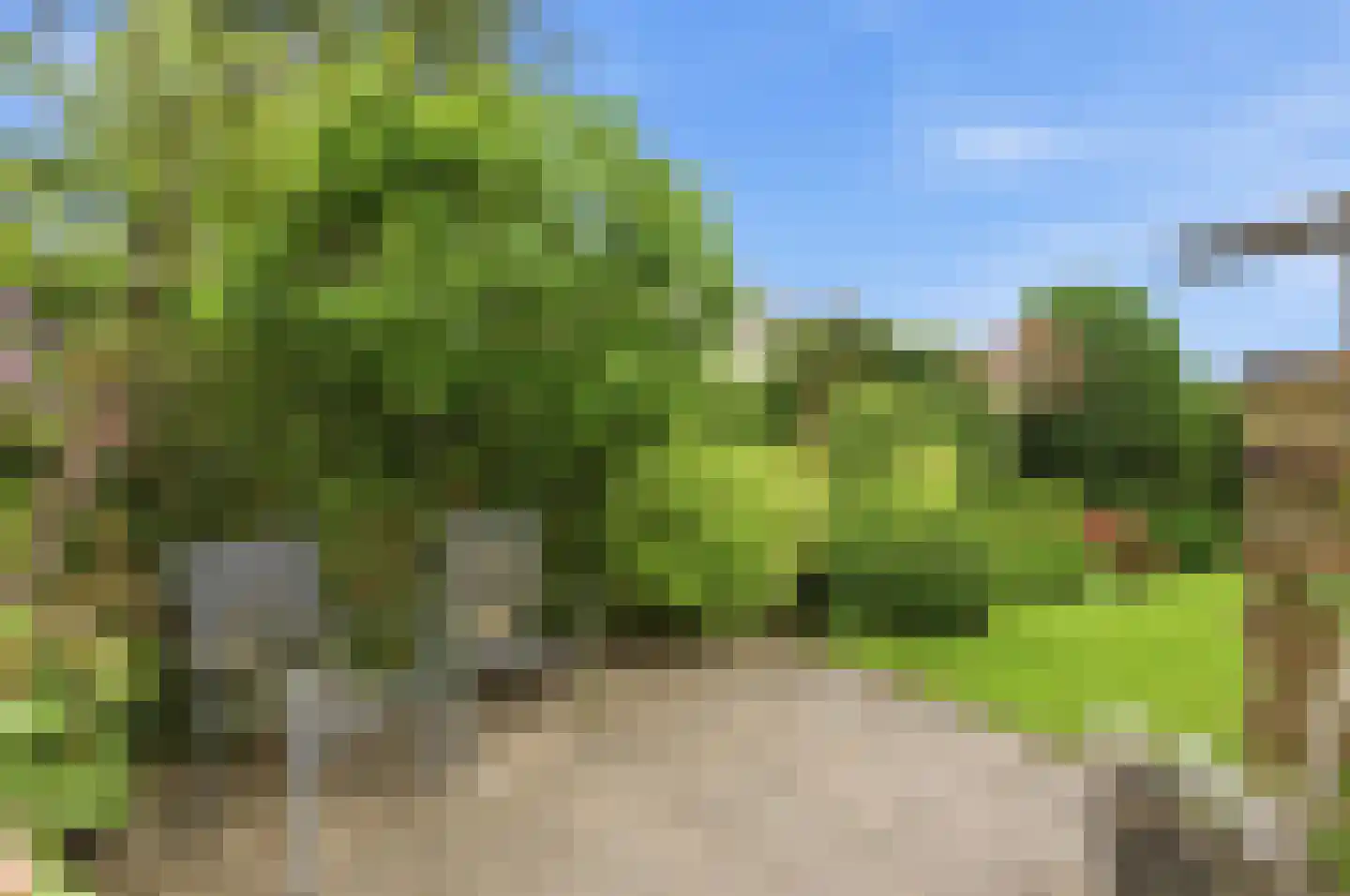 Vossestaart 14 Alblasserdam thumbnail 56