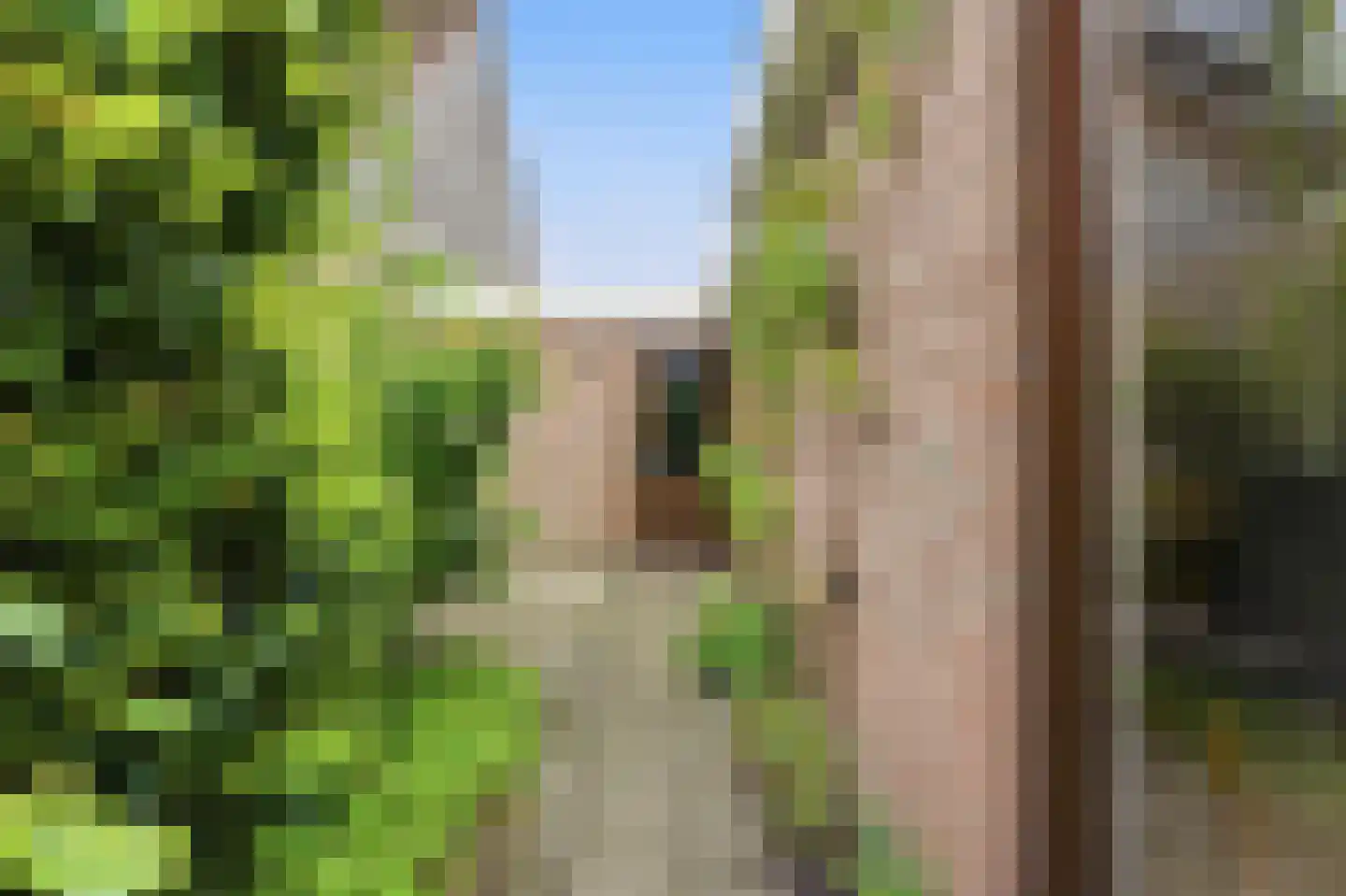 Vossestaart 14 Alblasserdam thumbnail 58