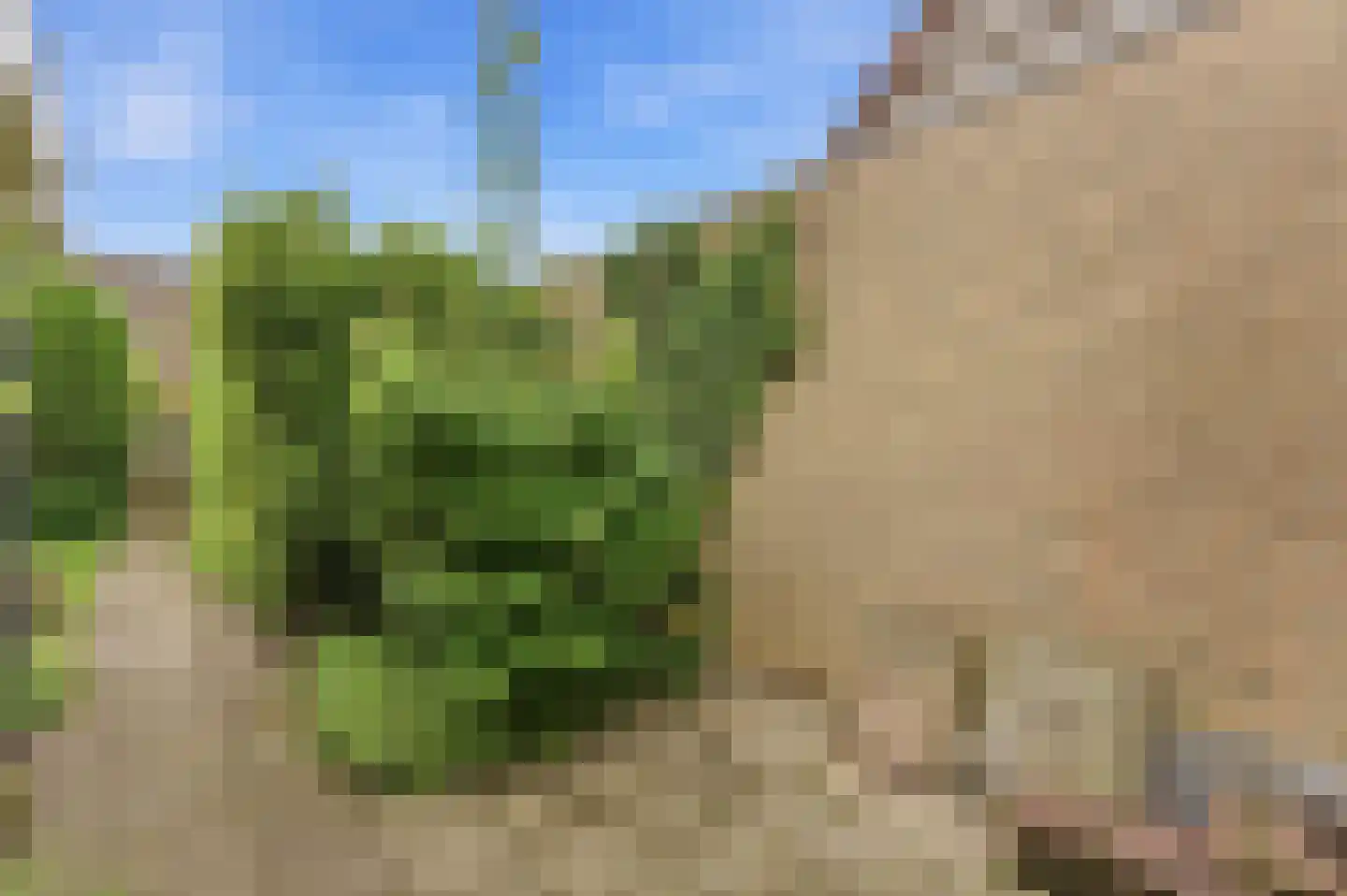 Vossestaart 14 Alblasserdam thumbnail 59