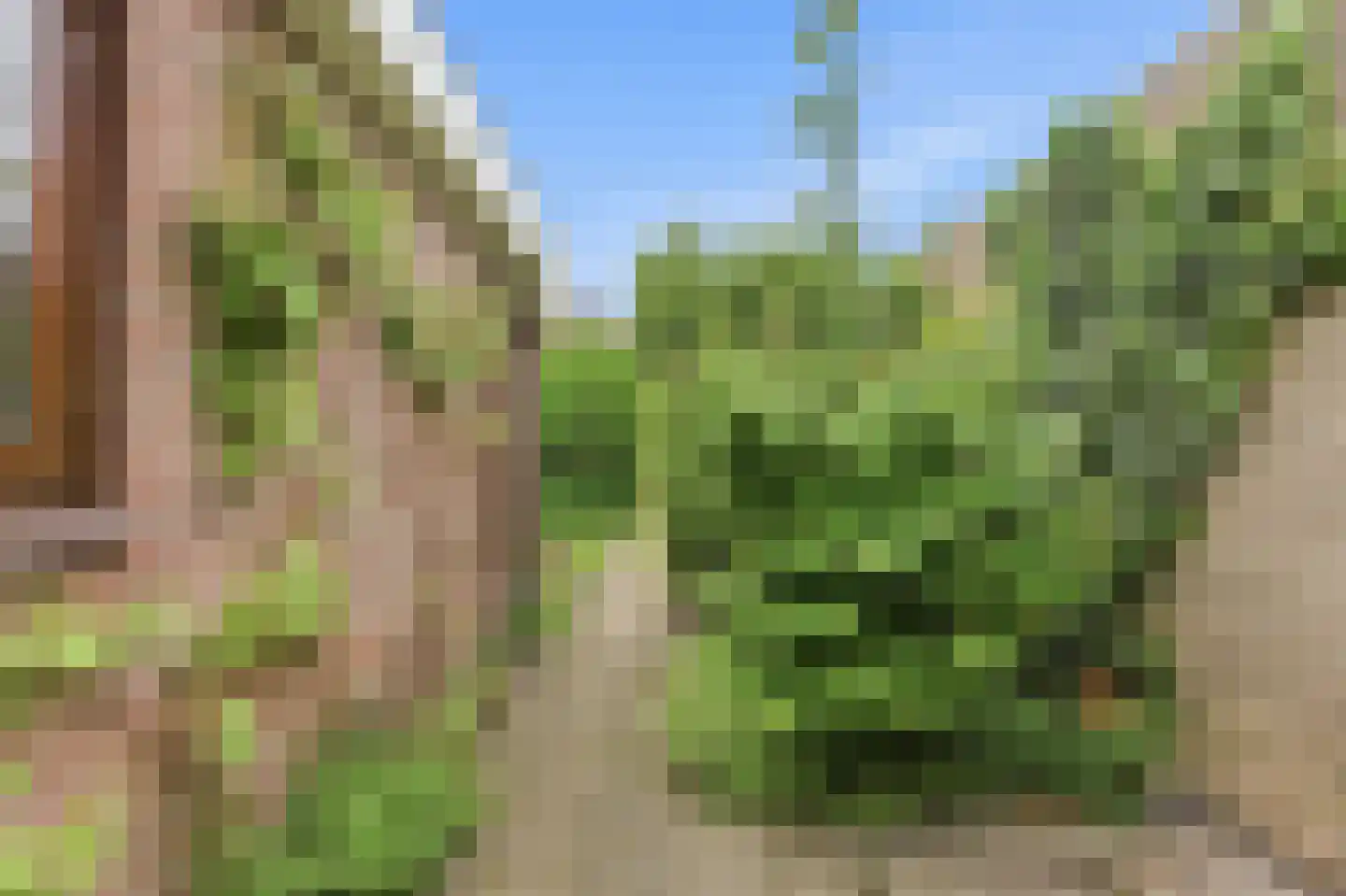 Vossestaart 14 Alblasserdam thumbnail 60