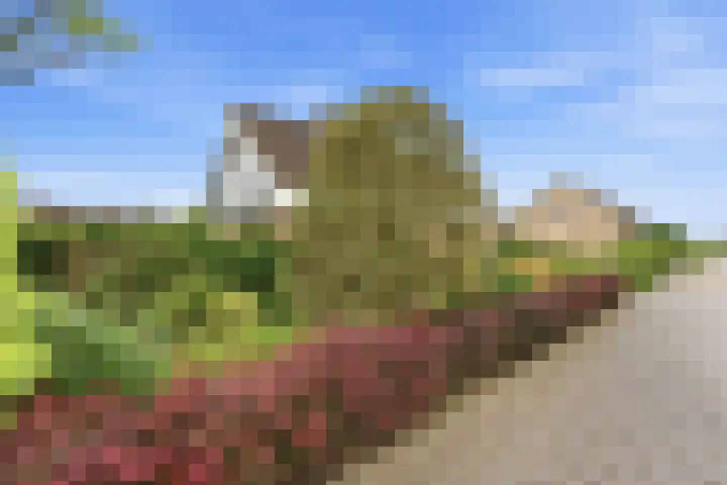Vossestaart 14 Alblasserdam thumbnail 67