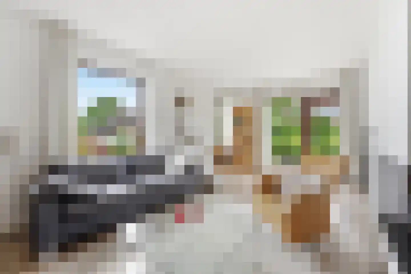 Vossestaart 14 Alblasserdam thumbnail 7