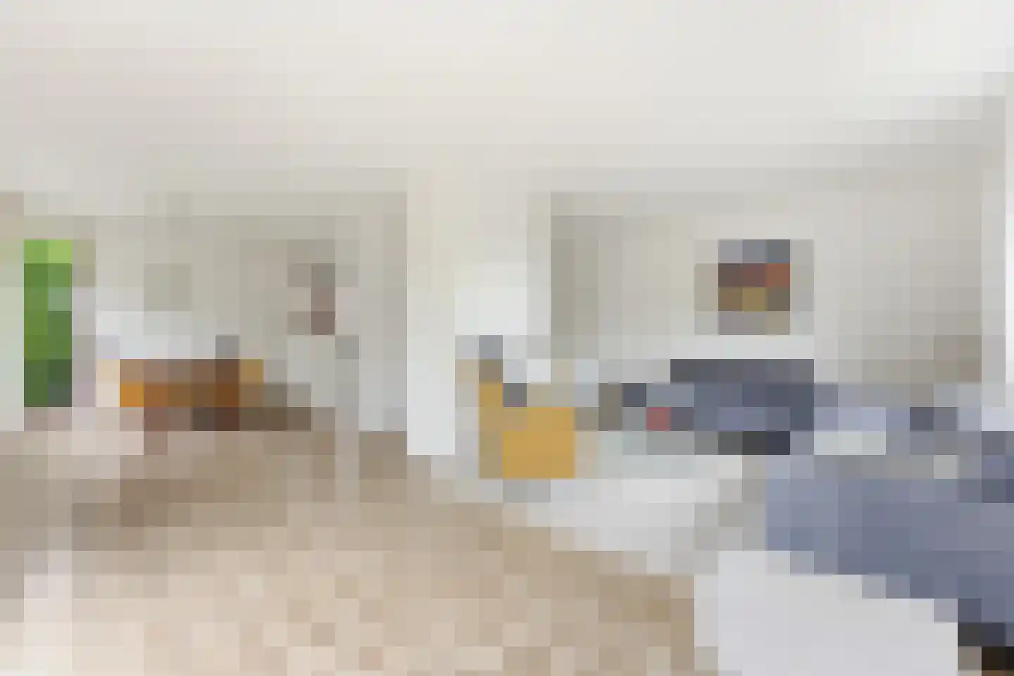 Vossestaart 14 Alblasserdam thumbnail 8
