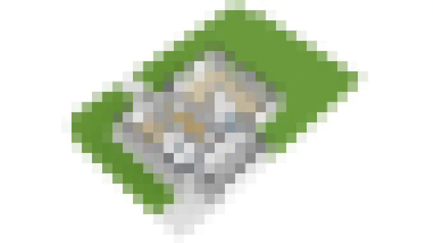 Vossestaart 14 Alblasserdam thumbnail 81