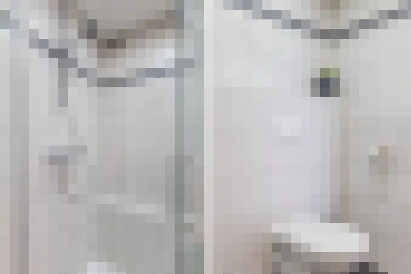 Vossestaart 15 Bodegraven thumbnail 28