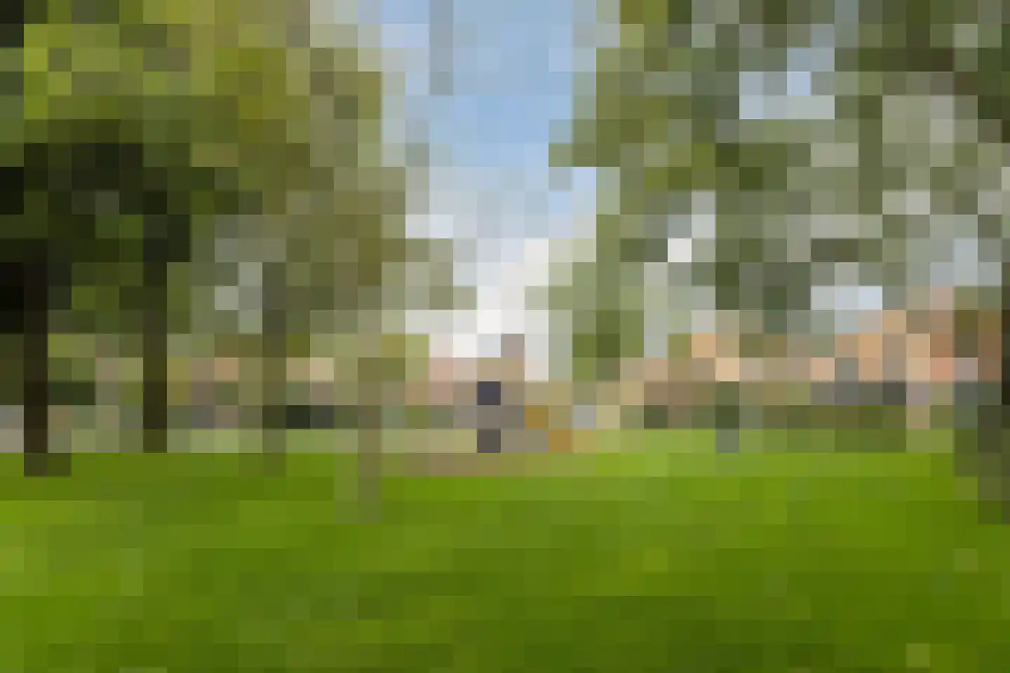Vossestaart 15 Bodegraven thumbnail 40
