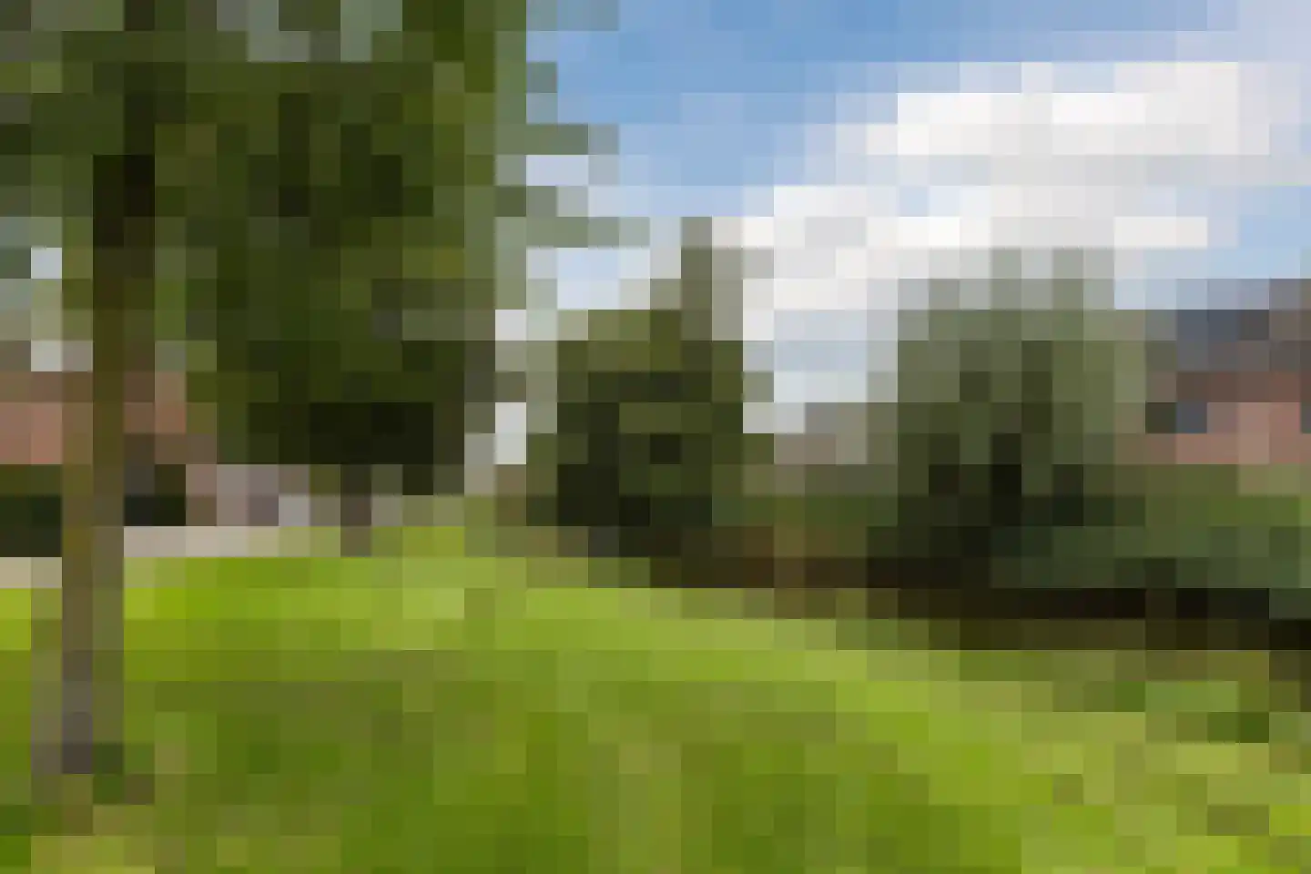Vossestaart 15 Bodegraven thumbnail 41