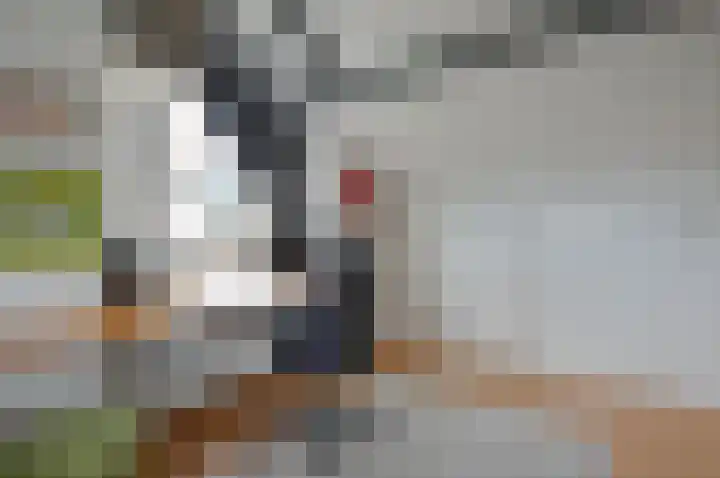 Vossestaart 19 Huizen thumbnail 15