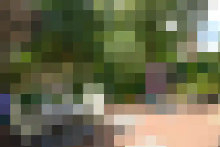 Vossestaart 19 Huizen thumbnail 20