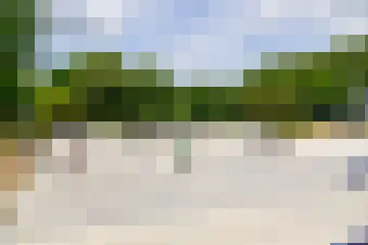 Vossestaart 19 Huizen thumbnail 23