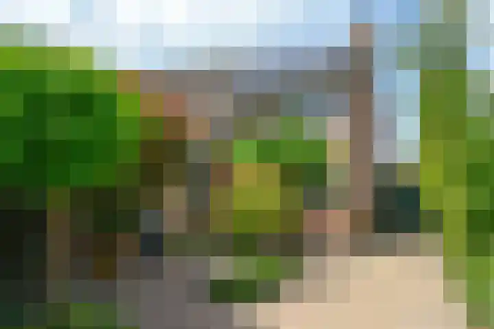 Vossestaart 19 Huizen thumbnail 32
