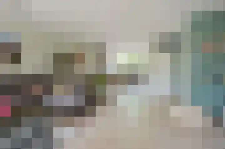 Vossestaart 19 Huizen thumbnail 5