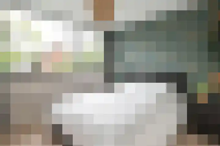 Vossestaart 21 Huizen thumbnail 16
