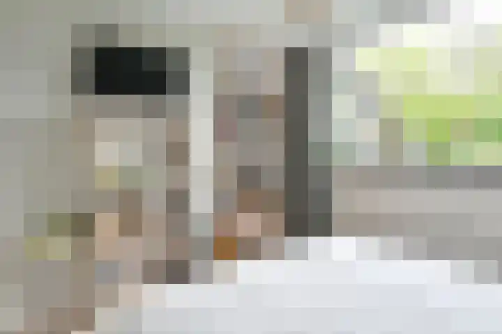 Vossestaart 21 Huizen thumbnail 17