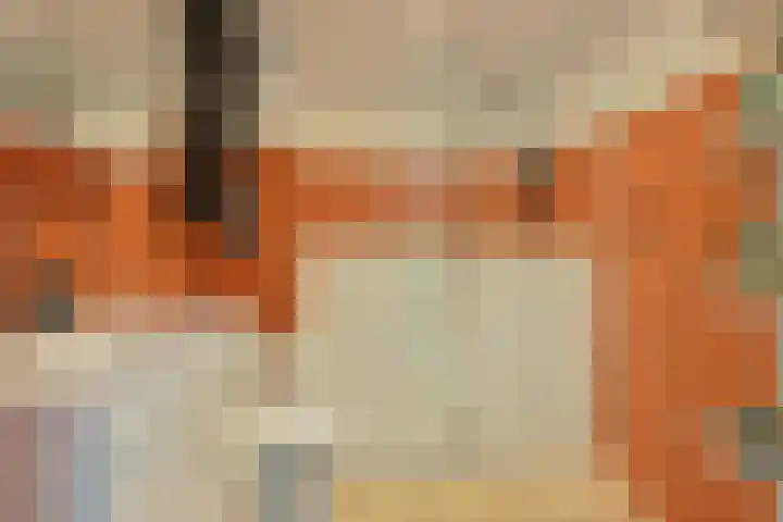 Vossestaart 21 Huizen thumbnail 19