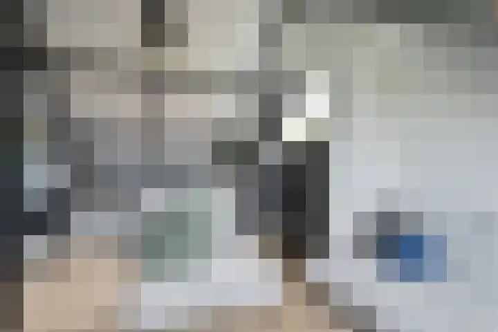 Vossestaart 21 Huizen thumbnail 21
