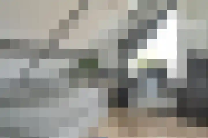 Vossestaart 21 Huizen thumbnail 22
