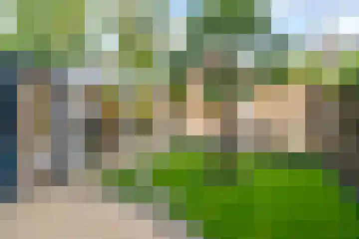 Vossestaart 21 Huizen thumbnail 24