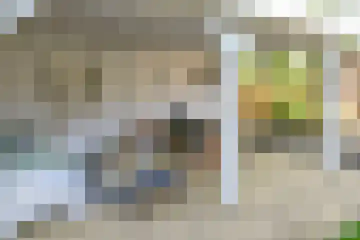 Vossestaart 21 Huizen thumbnail 25