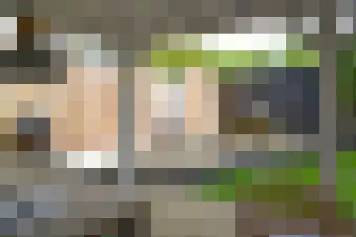Vossestaart 21 Huizen thumbnail 26