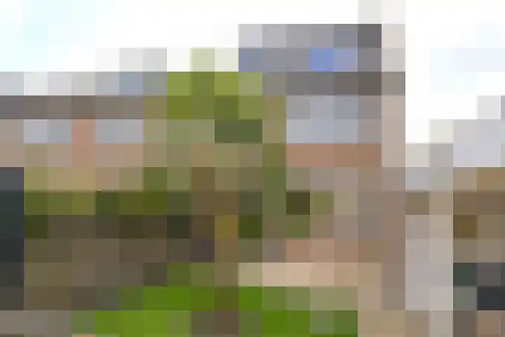 Vossestaart 21 Huizen thumbnail 27