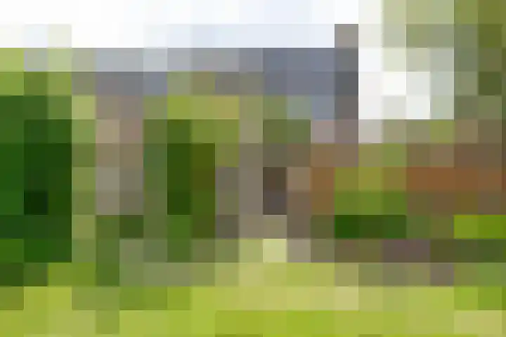 Vossestaart 21 Huizen thumbnail 28