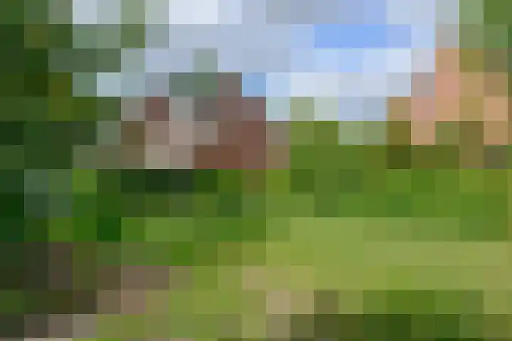 Vossestaart 21 Huizen thumbnail 29