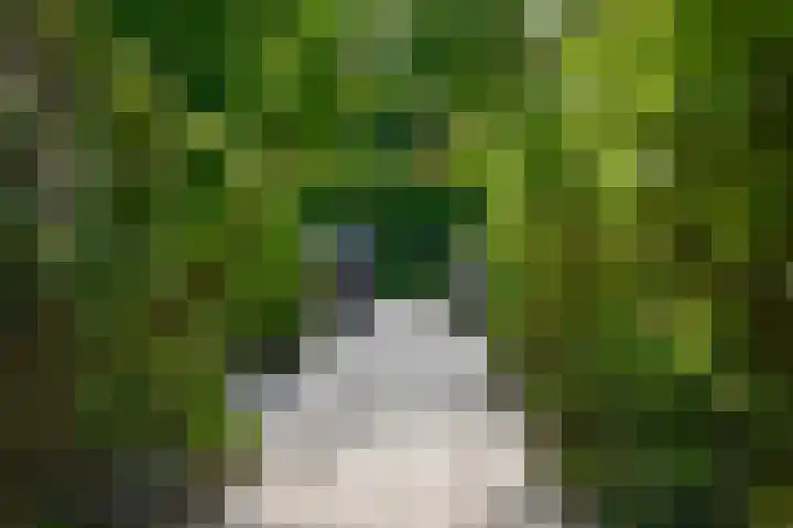 Vossestaart 21 Huizen thumbnail 30