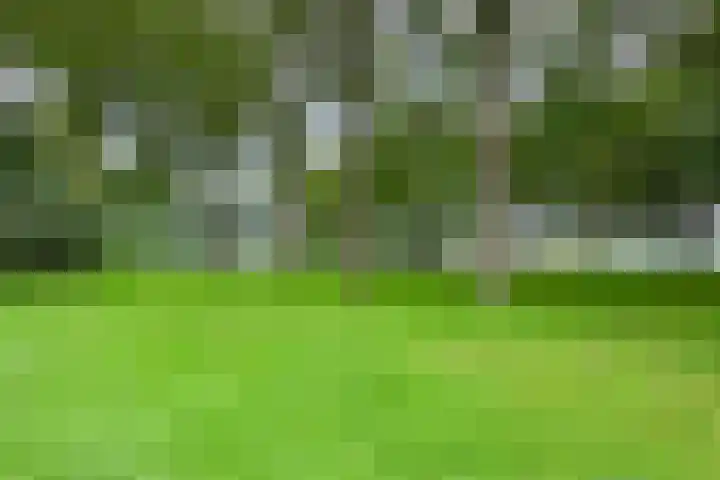 Vossestaart 21 Huizen thumbnail 31