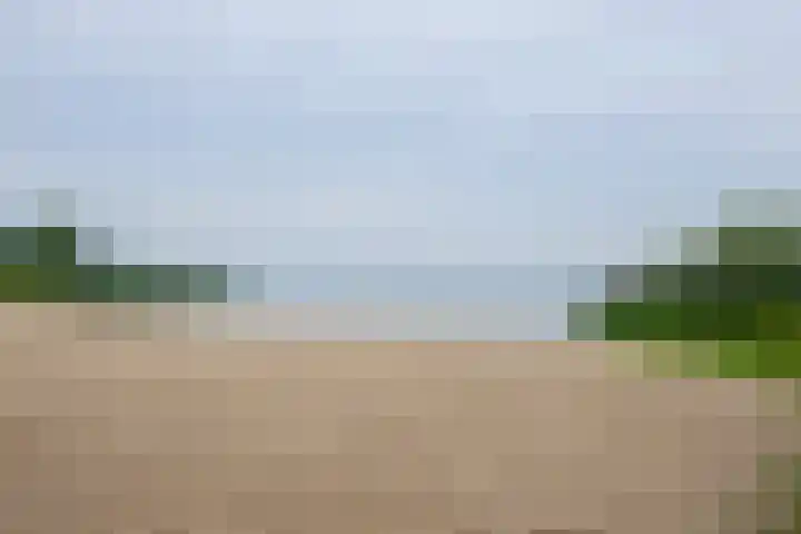 Vossestaart 21 Huizen thumbnail 32