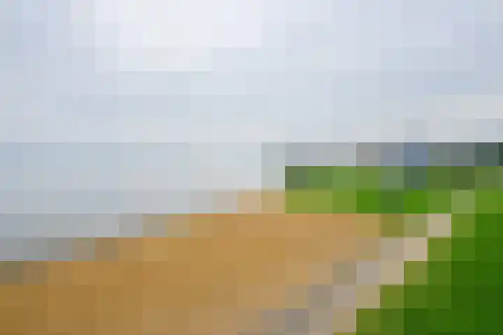 Vossestaart 21 Huizen thumbnail 33