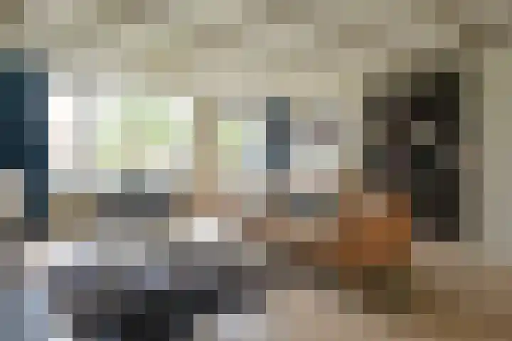 Vossestaart 21 Huizen thumbnail 4