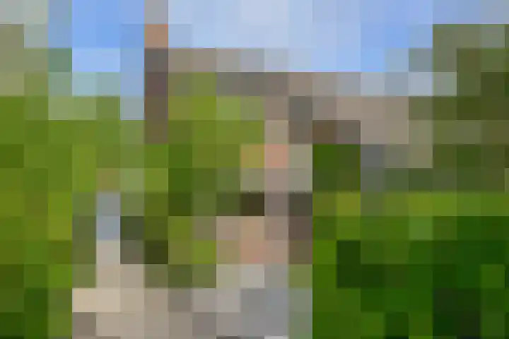 Vossestaart 21 Huizen thumbnail 42