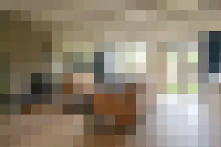 Vossestaart 21 Huizen thumbnail 5