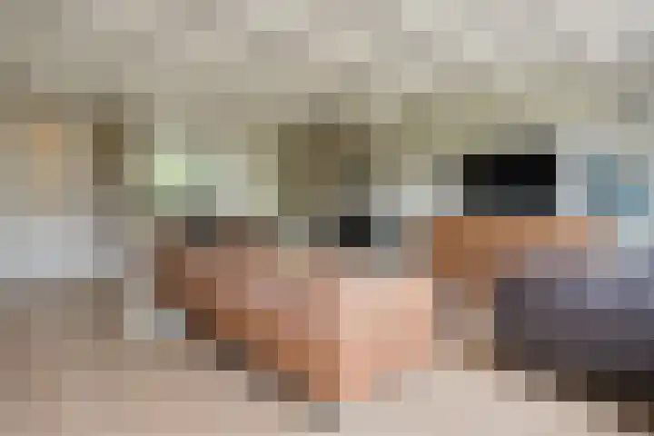 Vossestaart 21 Huizen thumbnail 6