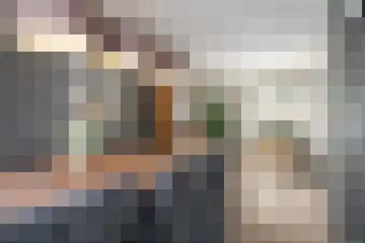 Vossestaart 31 Venray thumbnail 10