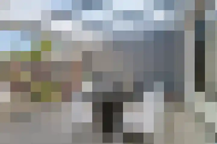 Vossestaart 31 Venray thumbnail 24