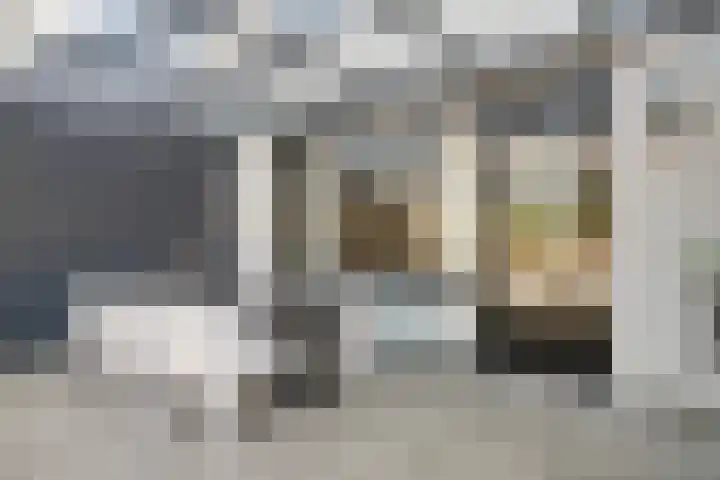 Vossestaart 31 Venray thumbnail 27