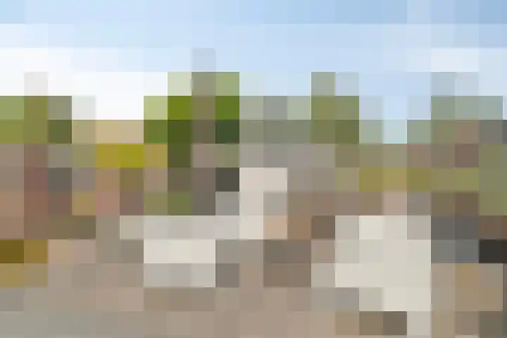 Vossestaart 31 Venray thumbnail 28