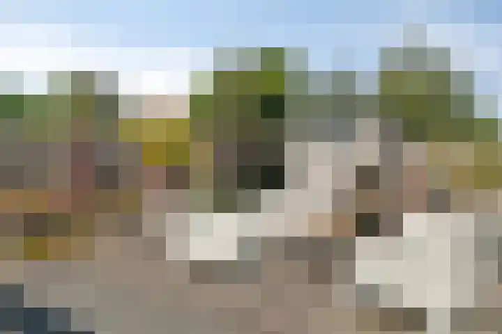 Vossestaart 31 Venray thumbnail 31