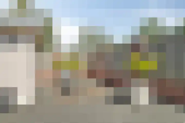 Vossestaart 31 Venray thumbnail 32
