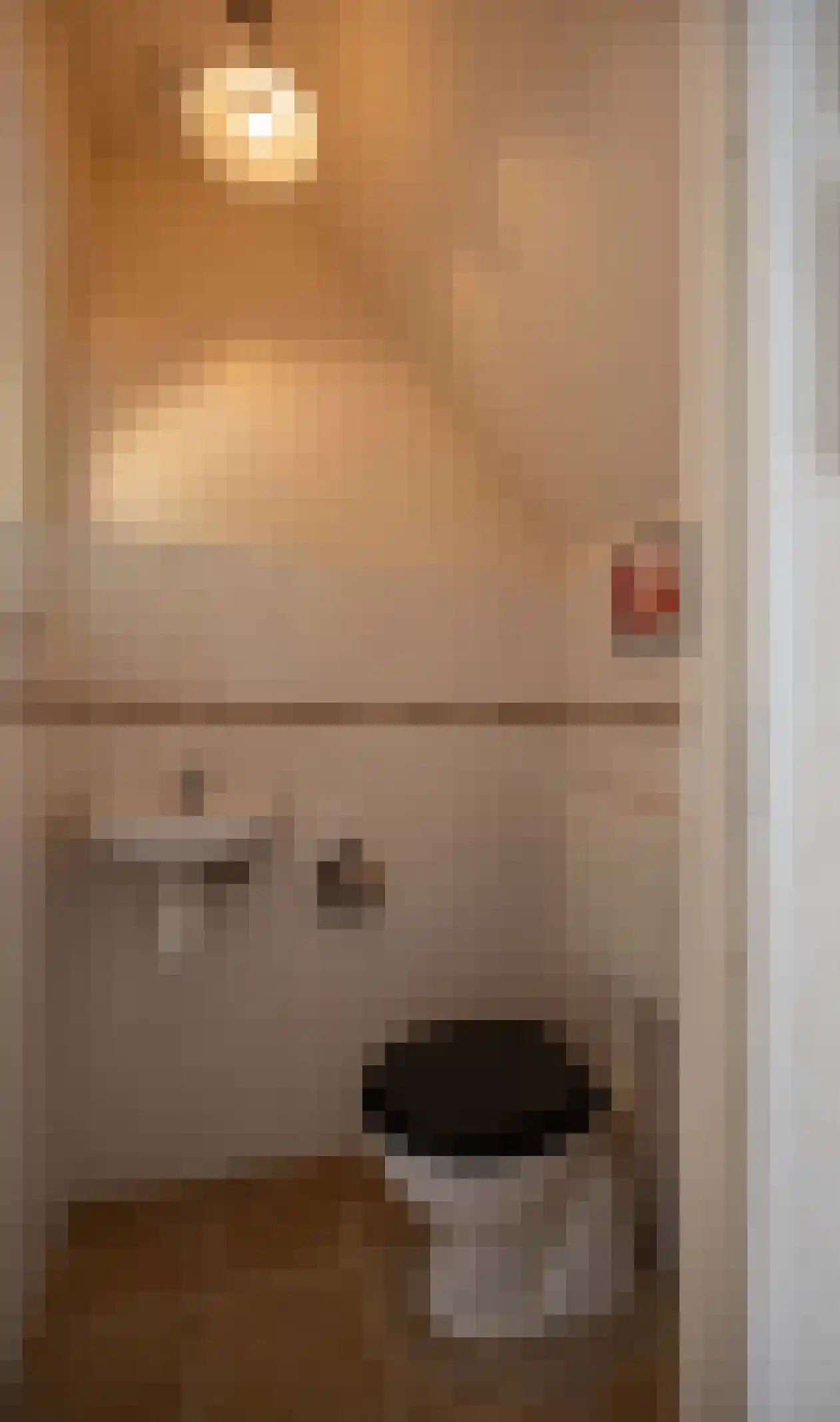 Vossestaart 41 Venray thumbnail 10