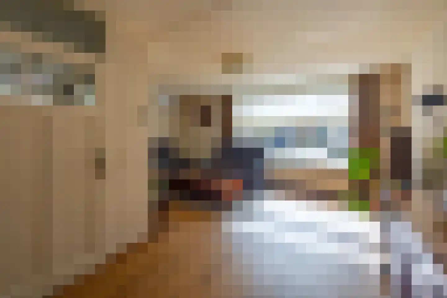 Vossestaart 41 Venray thumbnail 12