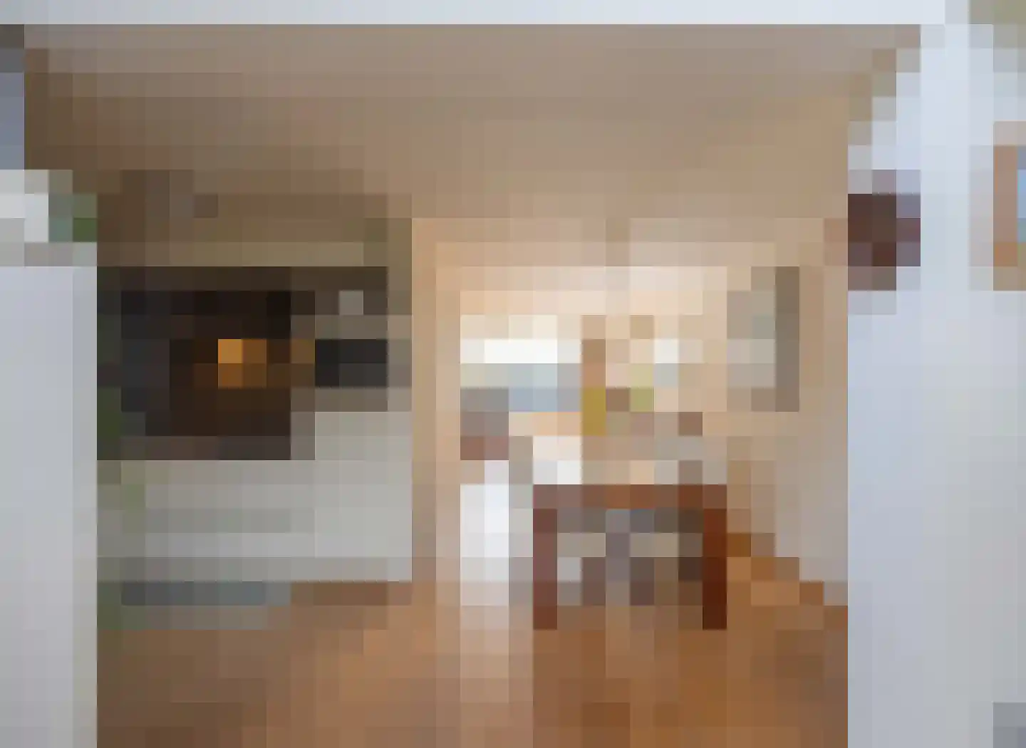 Vossestaart 41 Venray thumbnail 21