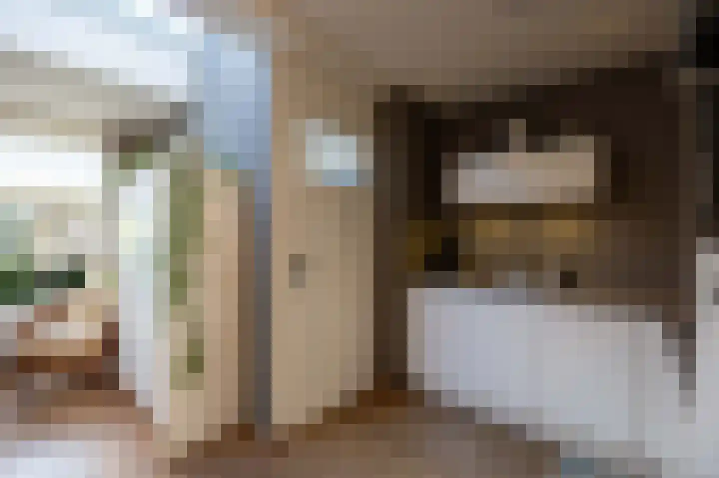 Vossestaart 41 Venray thumbnail 24