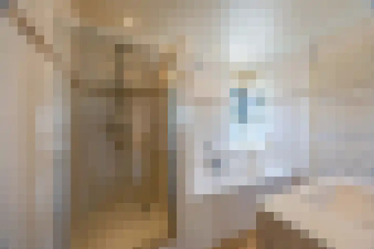 Vossestaart 41 Venray thumbnail 31