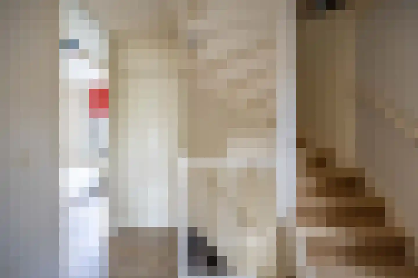 Vossestaart 41 Venray thumbnail 35
