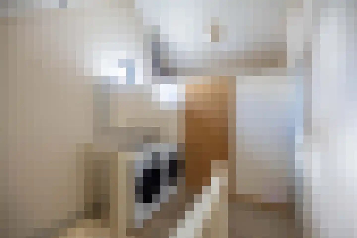Vossestaart 41 Venray thumbnail 36